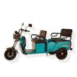 Side View of Pushpak 6000 XL Three-Passenger Recreational Mobility Scooter 